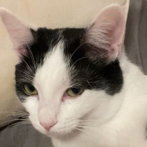 Meet your Posher, Ana